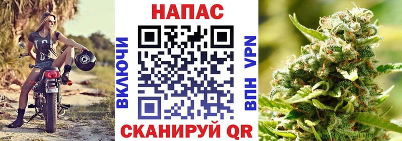Бошки марихуана план Ростов-на-Дону